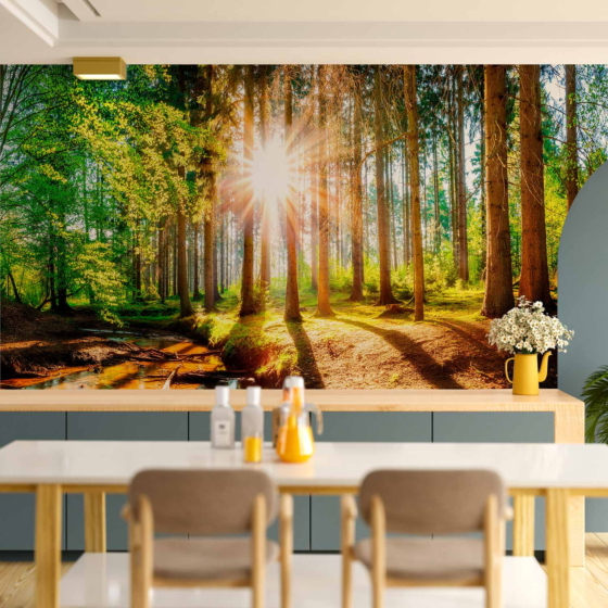 Φωτοταπετσαρια - Marvelous Forest Αδιαβροχη 450x315cm
