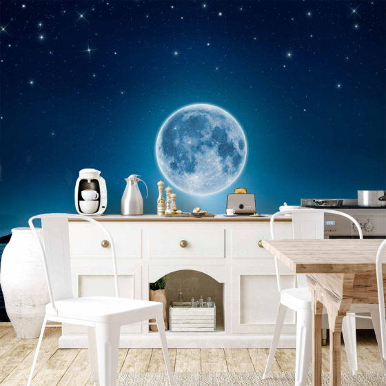 Φωτοταπετσαρια - Moonlit Night Αδιαβροχη 250x175cm