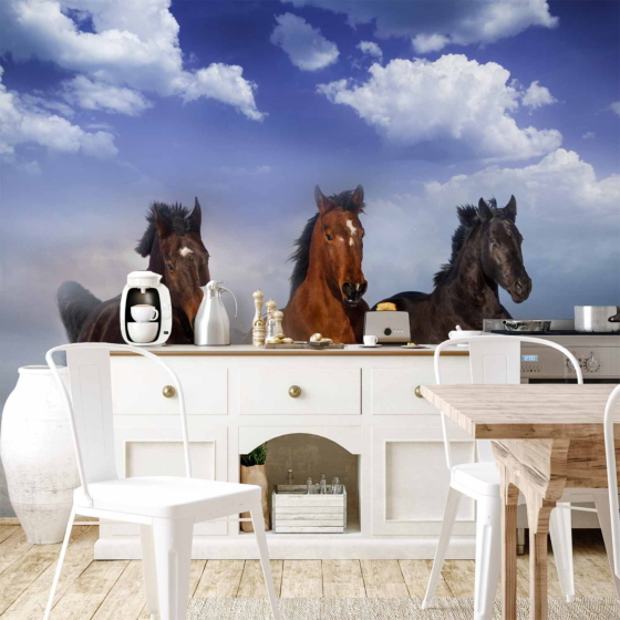 Φωτοταπετσαρια - Horses In The Snow Αδιαβροχη 450x315cm