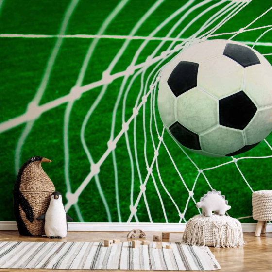 Φωτοταπετσαρια - Goal! Αδιαβροχη 300x210cm