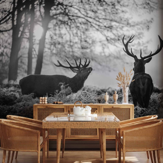 Φωτοταπετσαρια - Deers In The Morning Αδιαβροχη 250x175cm