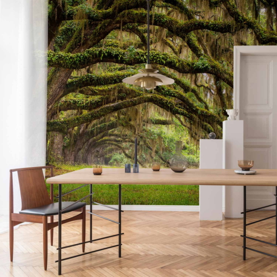 Φωτοταπετσαρια - Tree Embrace Αδιαβροχη 450x315cm