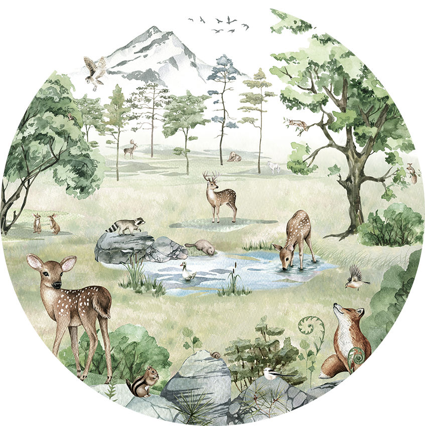 Deer Forest Summer Ταπετσαρια Τοιχου Πρασινο Στρογγυλη Διαφορα Μεγεθη