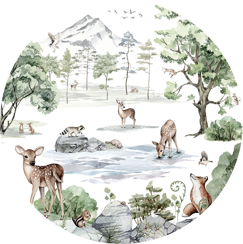 Deer Forest Winter Ταπετσαρια Τοιχου Πρασινο Στρογγυλη Διαφορα Μεγεθη