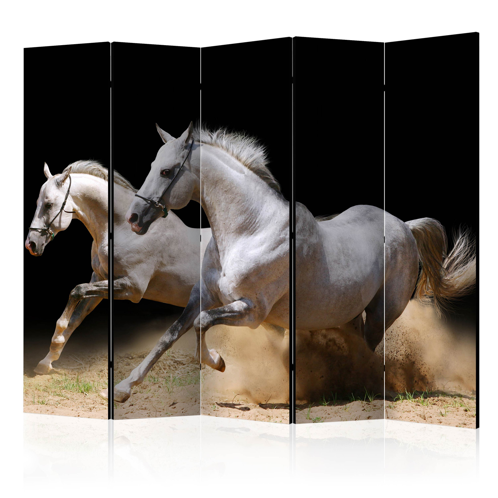 Διαχωριστικο Δωματιου - Galloping Horses On The Sand Ii Ηχοαπορροφητικο 225x172cm