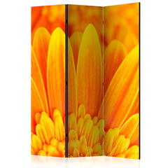 Διαχωριστικο Δωματιου - Yellow Gerbera Daisies Ηχοαπορροφητικο 135x172cm