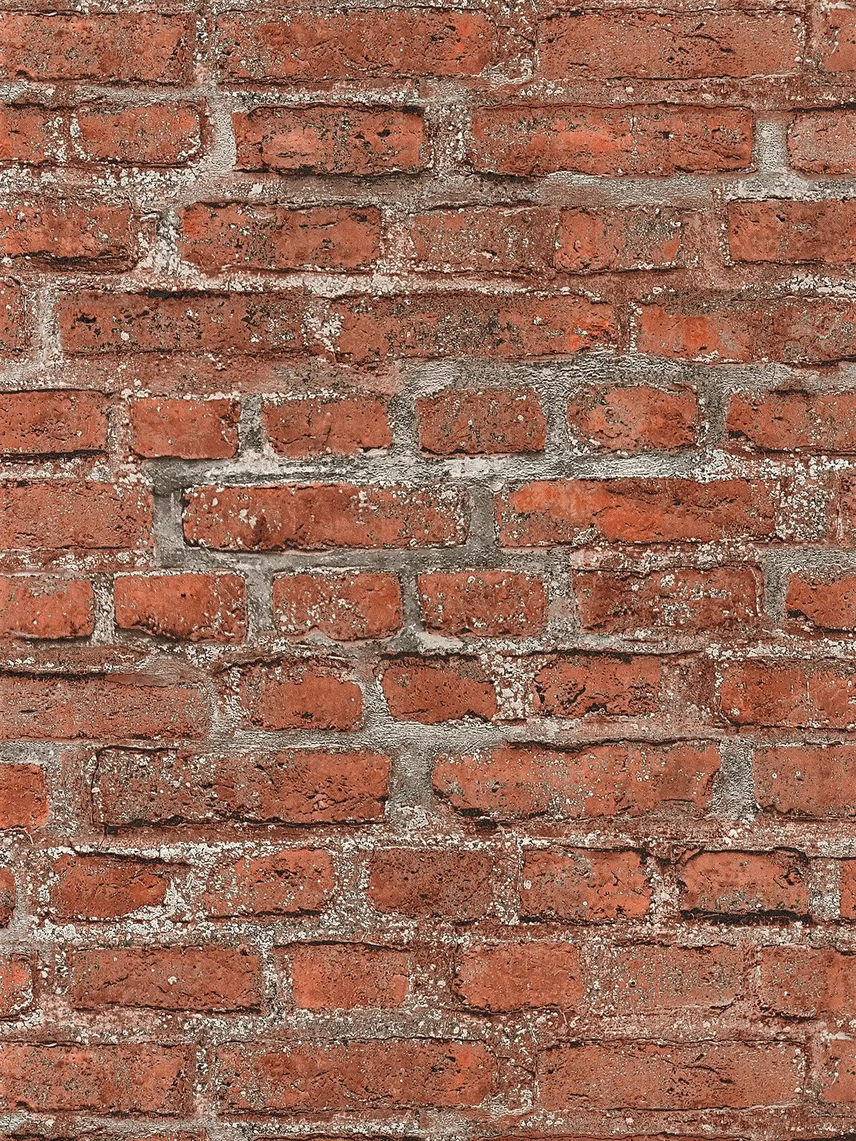 Ταπετσαρια Τοιχου Elements Κεραμιδι