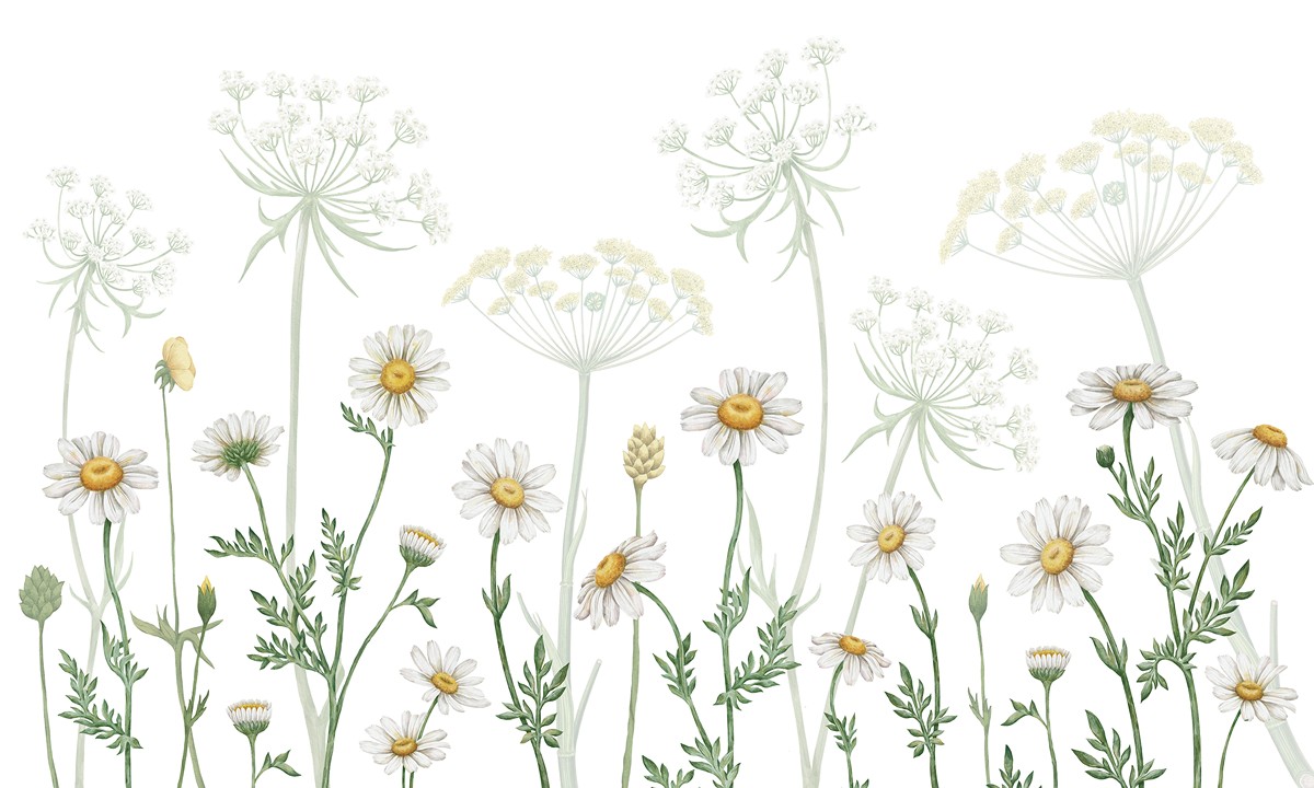 Dazzling Daisies Ταπετσαρια Τοιχου Λευκο