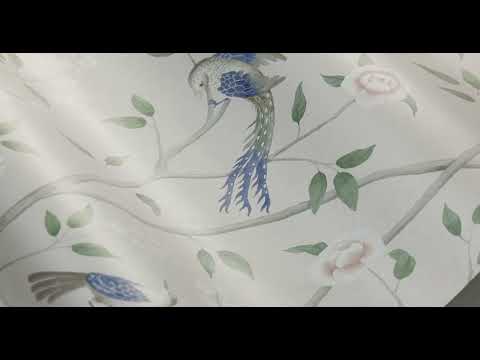 ParadiseBirds WaveVideo
