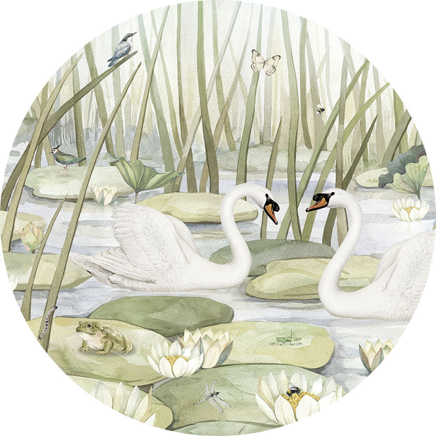 Spectacular Swans Ταπετσαρια Τοιχου Πρασινο Στρογγυλη Διαφορα Μεγεθη 