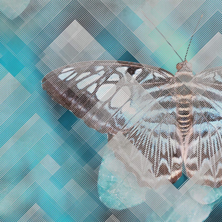 Moth Ταπετσαρια Τοιχου Τυρκουαζ