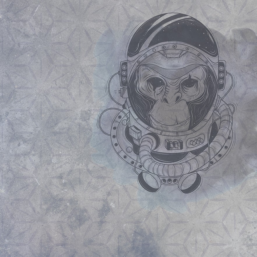 Space Monkey Ταπετσαρια Τοιχου Μοβ