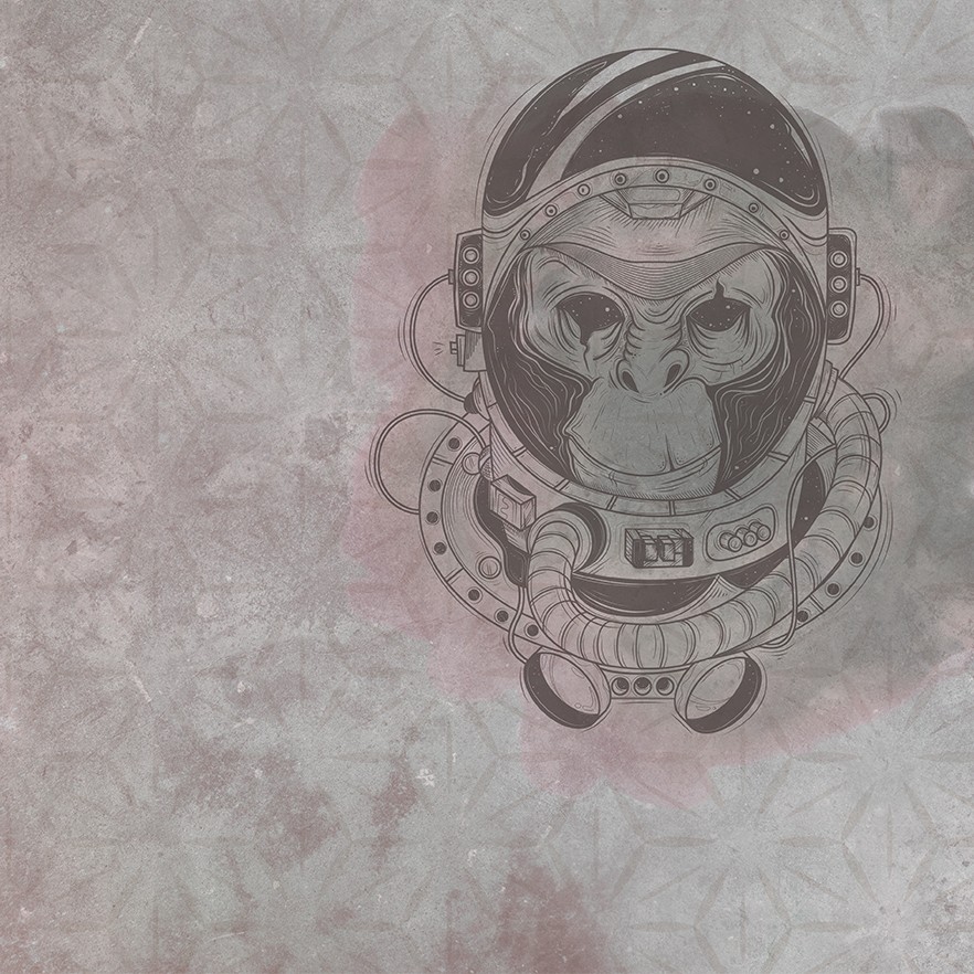Space Monkey Ταπετσαρια Τοιχου Ροζ