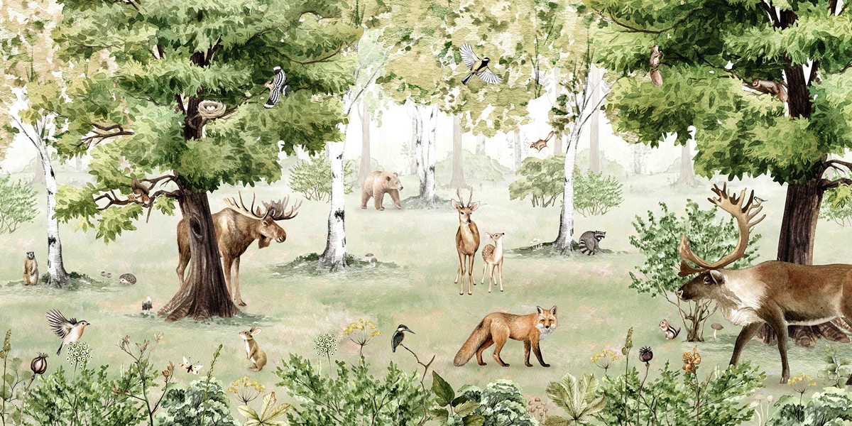 Woodland Wonders Ταπετσαρια Τοιχου Πρασινο